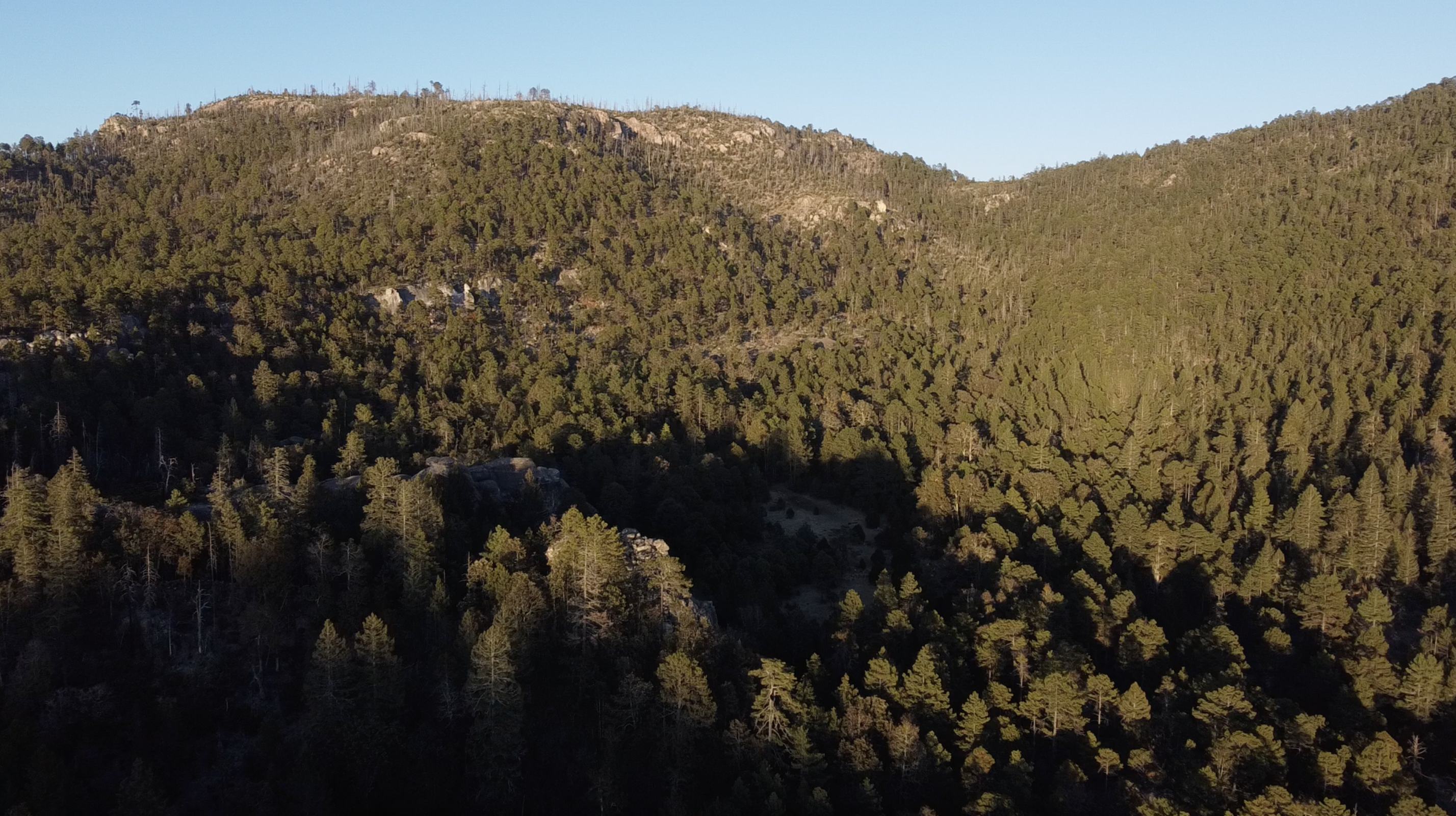 photoslider1
