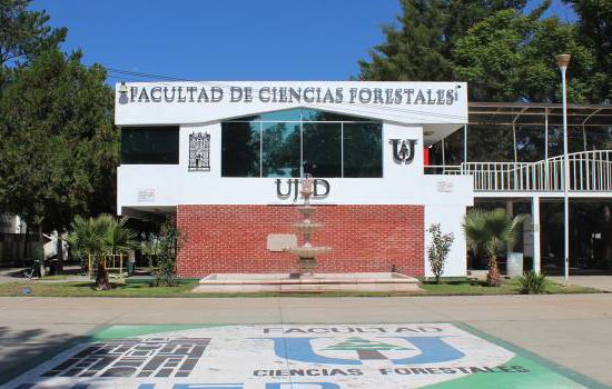 personal-de-la-facultad-de-ciencias-forestales-ujed-brinda-curso-de-actualizacion-para-asesores-tecnicos-sm